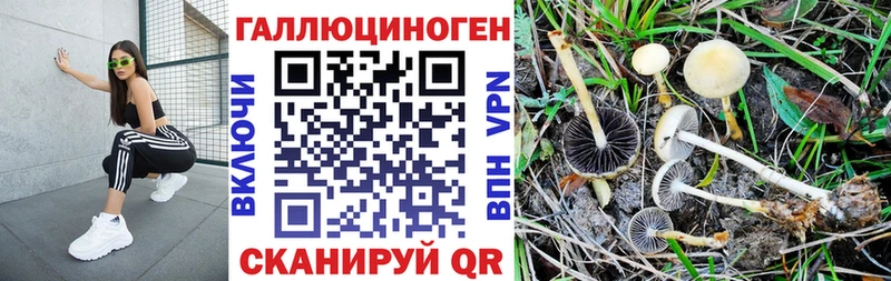 Псилоцибиновые грибы прущие грибы  Бородино 