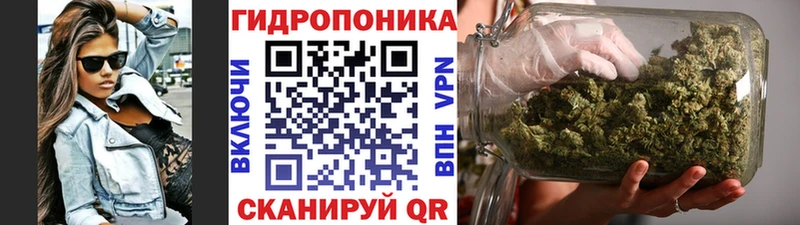 Бошки Шишки White Widow  Бородино 